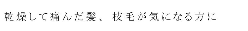 乾燥して傷んだ髪、枝毛が気になる方に