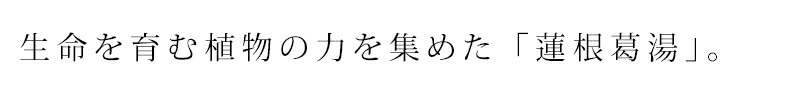 生命を育む植物の力を集めた「蓮根葛湯」