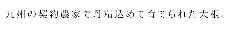 九州の契約農家で丹精込めて育てられた大根。