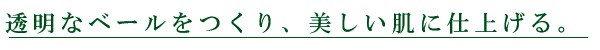 透明なベールを作り、美しい肌に仕上げる。