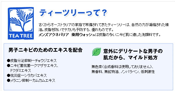ティーツリーとは。