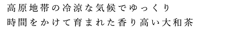 高原地帯の冷涼な気候でゆっくり時間をかけて育まれた香り高い大和茶