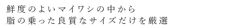 鮮度のよいマイワシの中から脂の乗った良質なサイズだけを厳選