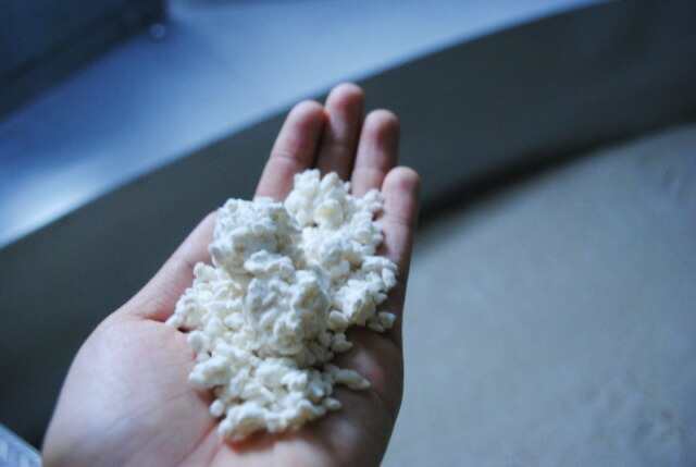 桝塚味噌 愛知県産米 米こうじ 200g