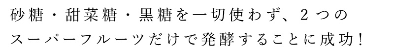 砂糖・甜菜糖・黒糖を一切使わず、2つのスーパーフルーツ（ザクロとデーツ）だけで発酵することに成功！