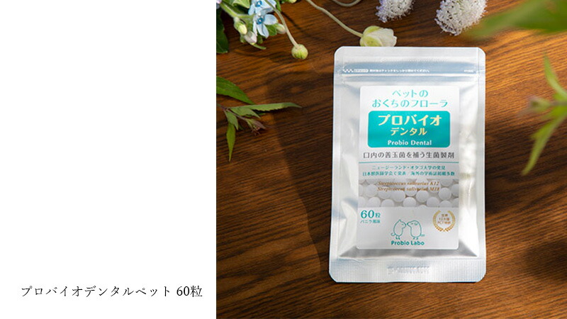 ペット用口腔ケアタブレット プロバイオデンタル ペット 60粒