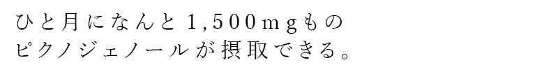 ひと月になんと1500mgものピクノジェノールが摂取できる