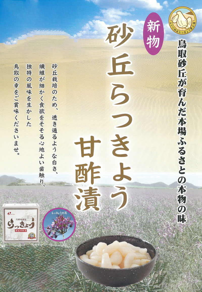 ジャフマック らっきょう漬け 創健社 予約 砂丘らっきょう 570g（190g