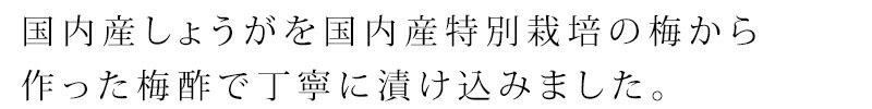 国内産しょうがを国内産特別栽培の梅から作った梅酢で丁寧に漬け込みました。