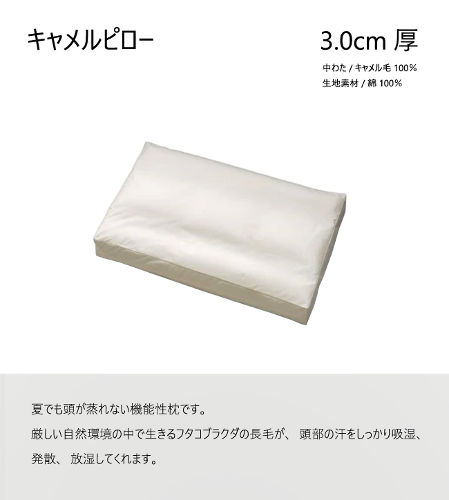 イワタ キャメルピロー3.0センチ厚 DE-RP-00129 枕 ふとん ベッド
