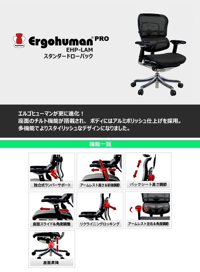 話題の行列 エルゴヒューマン プロ ロータイプ Ehp Lam Ergohumn Pro パーソナルチェア デスクチェア 座り心地 期間限定sale