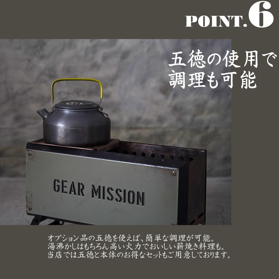 bf-gm1-8.jpg