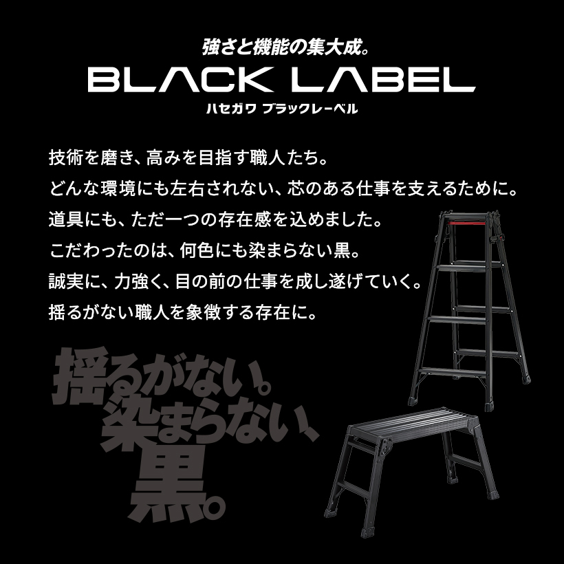 長谷川工業 (ハセガワ) RYZB-21 脚部伸縮式はしご兼用脚立(ワンタッチ