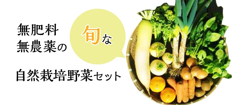 無肥料無農薬の旬な自然栽培野菜セット