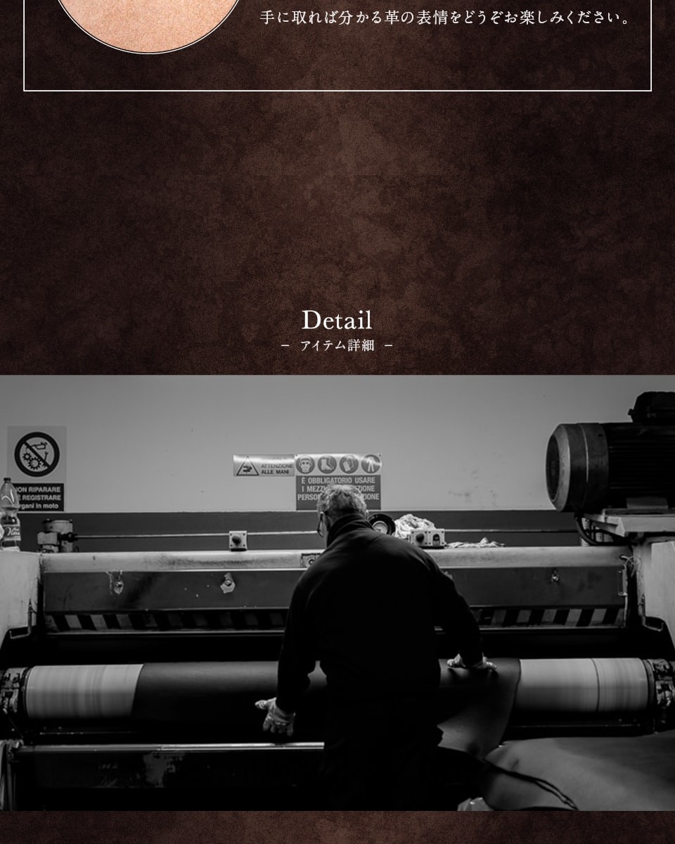 ���C�h�А� �u���C�h�����U�[ �R�C���P�[�X