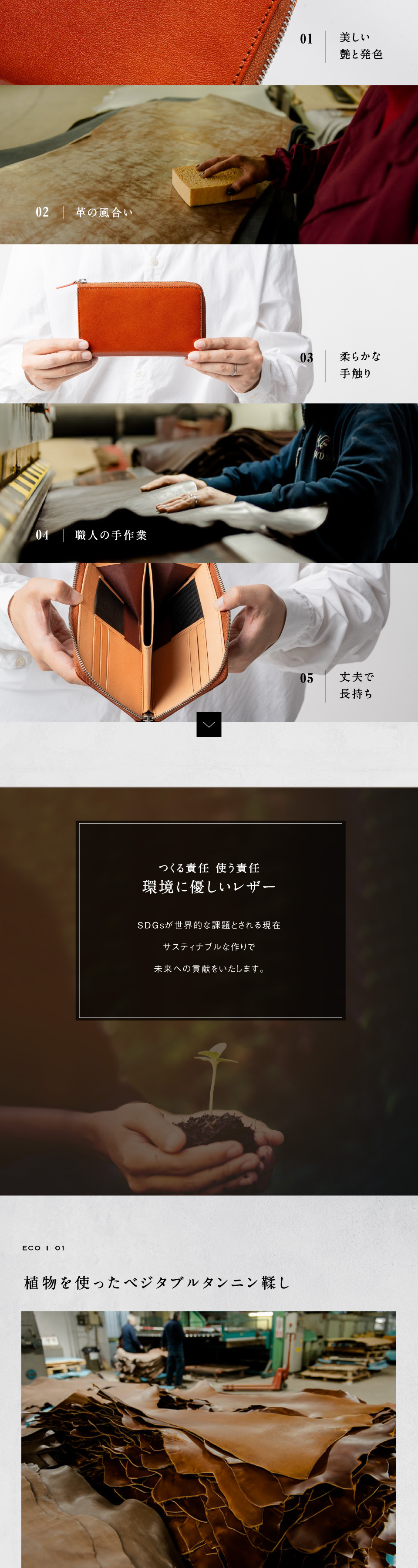 ranova コンパクト長財布