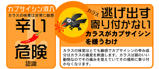 ゴミ被せネット 3×4m - 動物避け用品