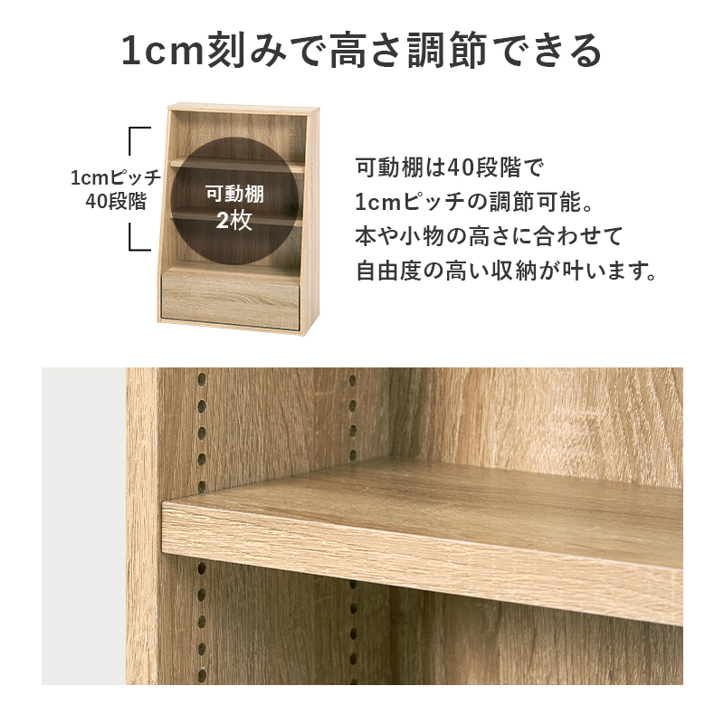 本棚 ブックラック 書棚 収納ラック オープンラック ラック ロータイプ 引出し 1cmピッチ 棚板高さ調整 可動棚 シンプル コミック 文庫 A4 小物 幅60 RCC-1906