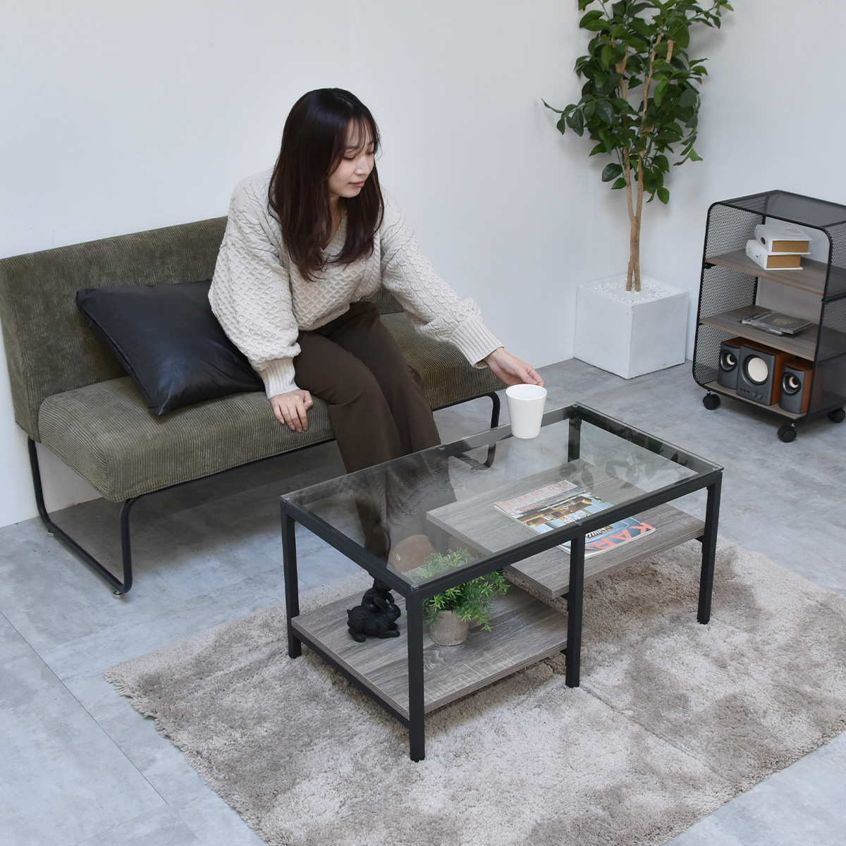 センターテーブル ガラスセンターテーブル Exie 80×44.5cm ローテーブル ガラステーブル 棚付 デザイン 収納 リモコン 雑誌 ガラス天板 棚板2枚 ONTB0294