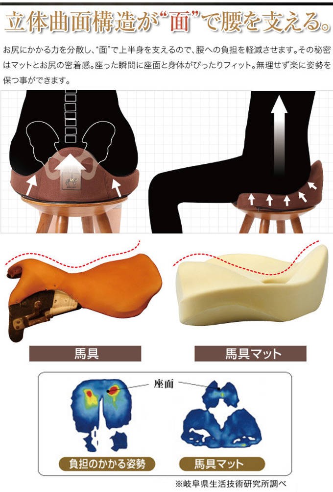 立体曲面构造が「面」で腰を支える.