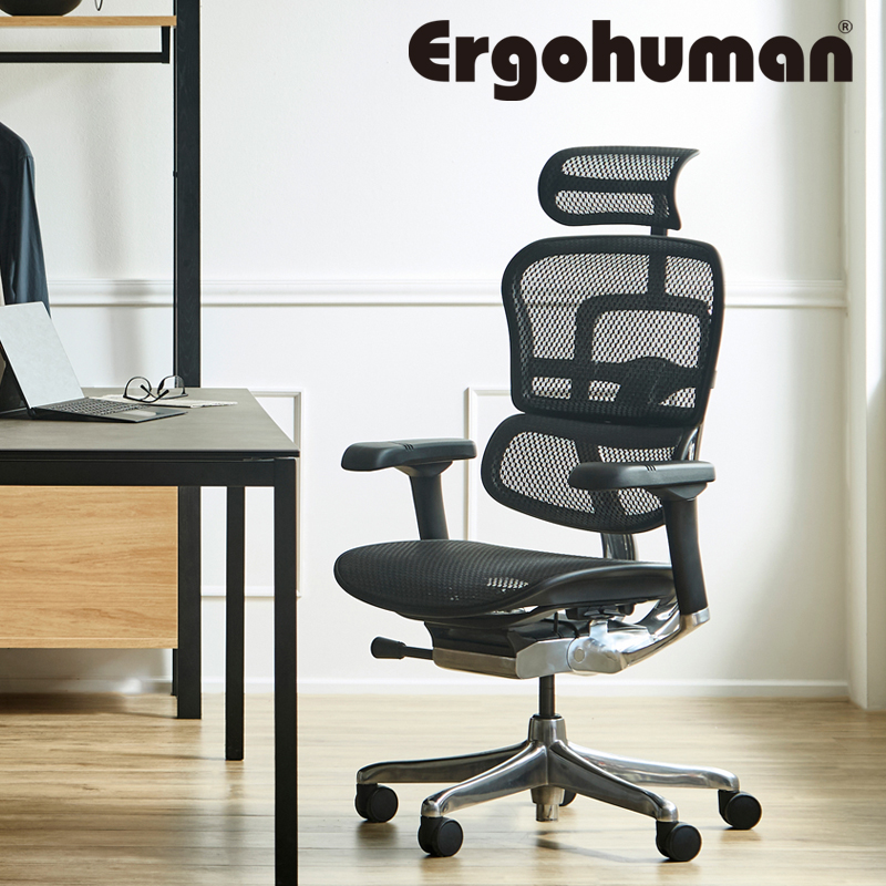 オフィスチェア エルゴヒューマン プロ2 ハイタイプ 5Dアームレスト搭載モデル Ergohuman EHP2-HAM-5D-DR 在宅 リモート 関家具 正規代理店