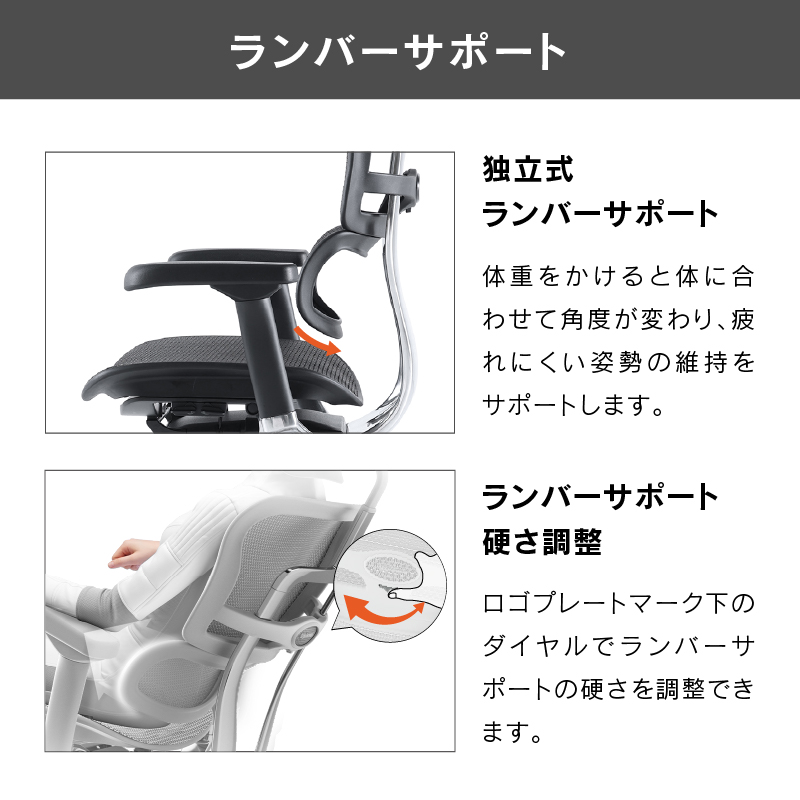 オフィスチェア エルゴヒューマン プロ2 ハイタイプ 5Dアームレスト搭載モデル Ergohuman PRO2 EHP2-HAM-5D-DR 在宅 リモート 関家具 正規代理店