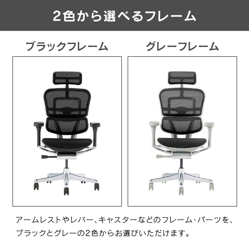 オフィスチェア エルゴヒューマン プロ2 ハイタイプ 5Dアームレスト搭載モデル Ergohuman PRO2 EHP2-HAM-5D-DR 在宅 リモート 関家具 正規代理店