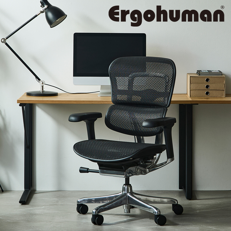 オフィスチェア エルゴヒューマン プロ2 ロータイプ 5Dアームレスト搭載モデル Ergohuman EHP2-LAM-5D-DR 在宅 リモート 関家具 正規代理店