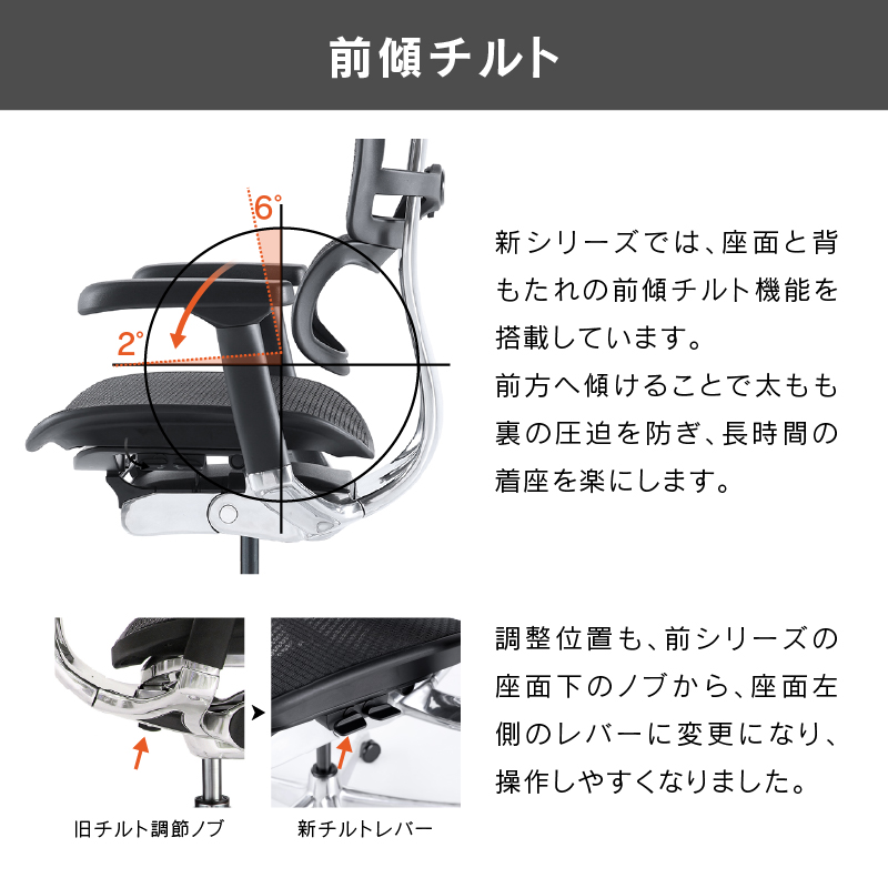 オフィスチェア エルゴヒューマン プロ2 ロータイプ 5Dアームレスト搭載モデル Ergohuman PRO2 EHP2-LAM-5D-DR 在宅 リモート 関家具 正規代理店