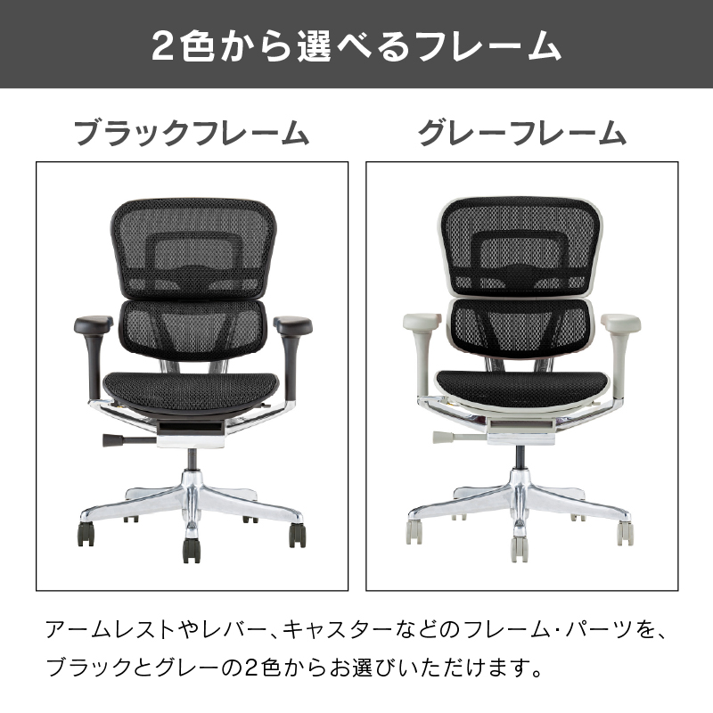 オフィスチェア エルゴヒューマン プロ2 ロータイプ 5Dアームレスト搭載モデル Ergohuman PRO2 EHP2-LAM-5D-DR 在宅 リモート 関家具 正規代理店