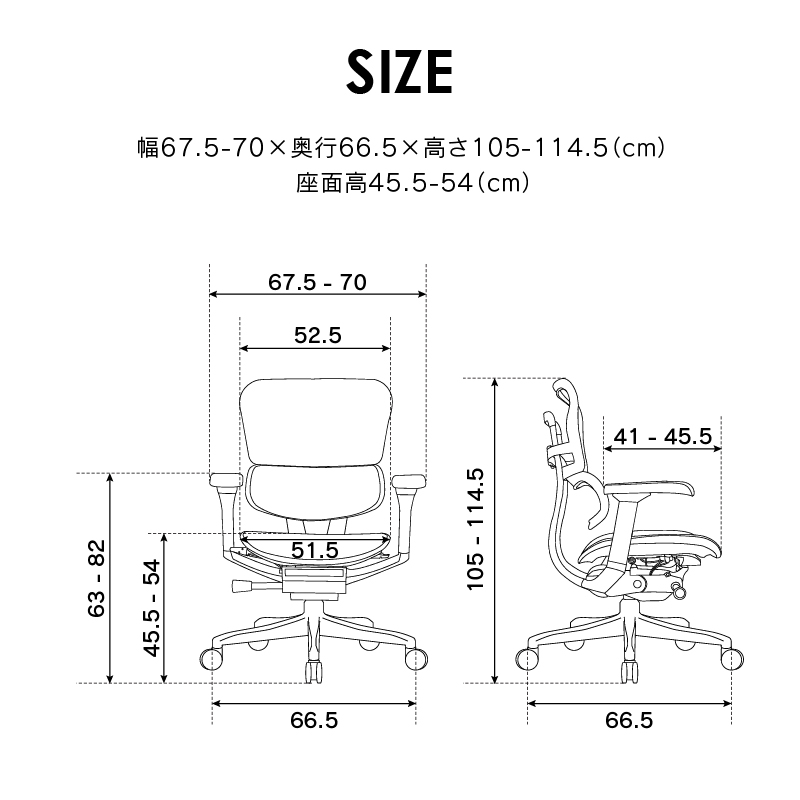 オフィスチェア エルゴヒューマン プロ2 ロータイプ 5Dアームレスト搭載モデル Ergohuman PRO2 EHP2-LAM-5D-DR 在宅 リモート 関家具 正規代理店