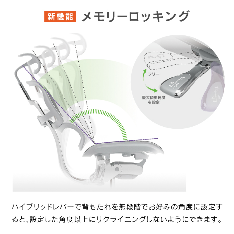オフィスチェア エルゴヒューマン プロ2 ロータイプ 5Dアームレスト搭載モデル Ergohuman PRO2 EHP2-LAM-5D-DR 在宅 リモート 関家具 正規代理店