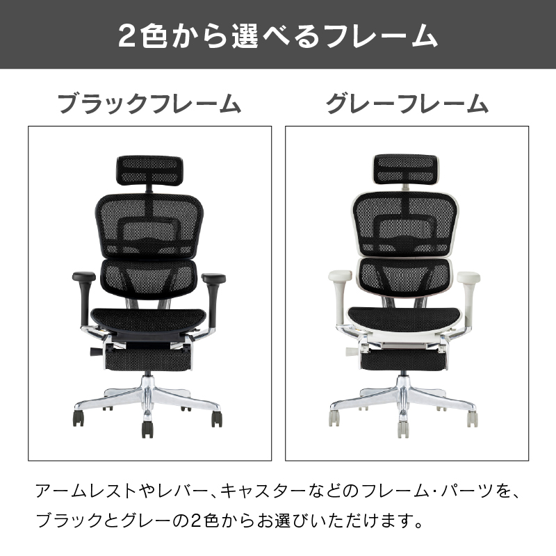 オフィスチェア エルゴヒューマン プロ2 オットマン ハイタイプ Ergohuman PRO2 Ottoman EHP2-LPL-5D-DR 在宅 リモート フットレスト 関家具 正規代理店