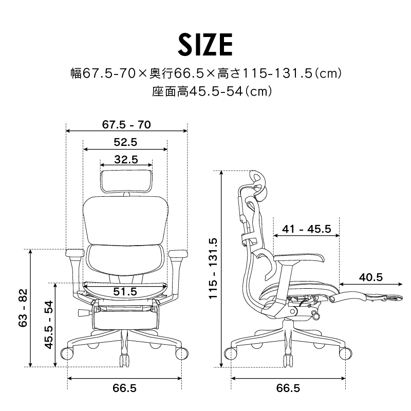 オフィスチェア エルゴヒューマン プロ2 オットマン ハイタイプ Ergohuman PRO2 Ottoman EHP2-LPL-5D-DR 在宅 リモート フットレスト 関家具 正規代理店