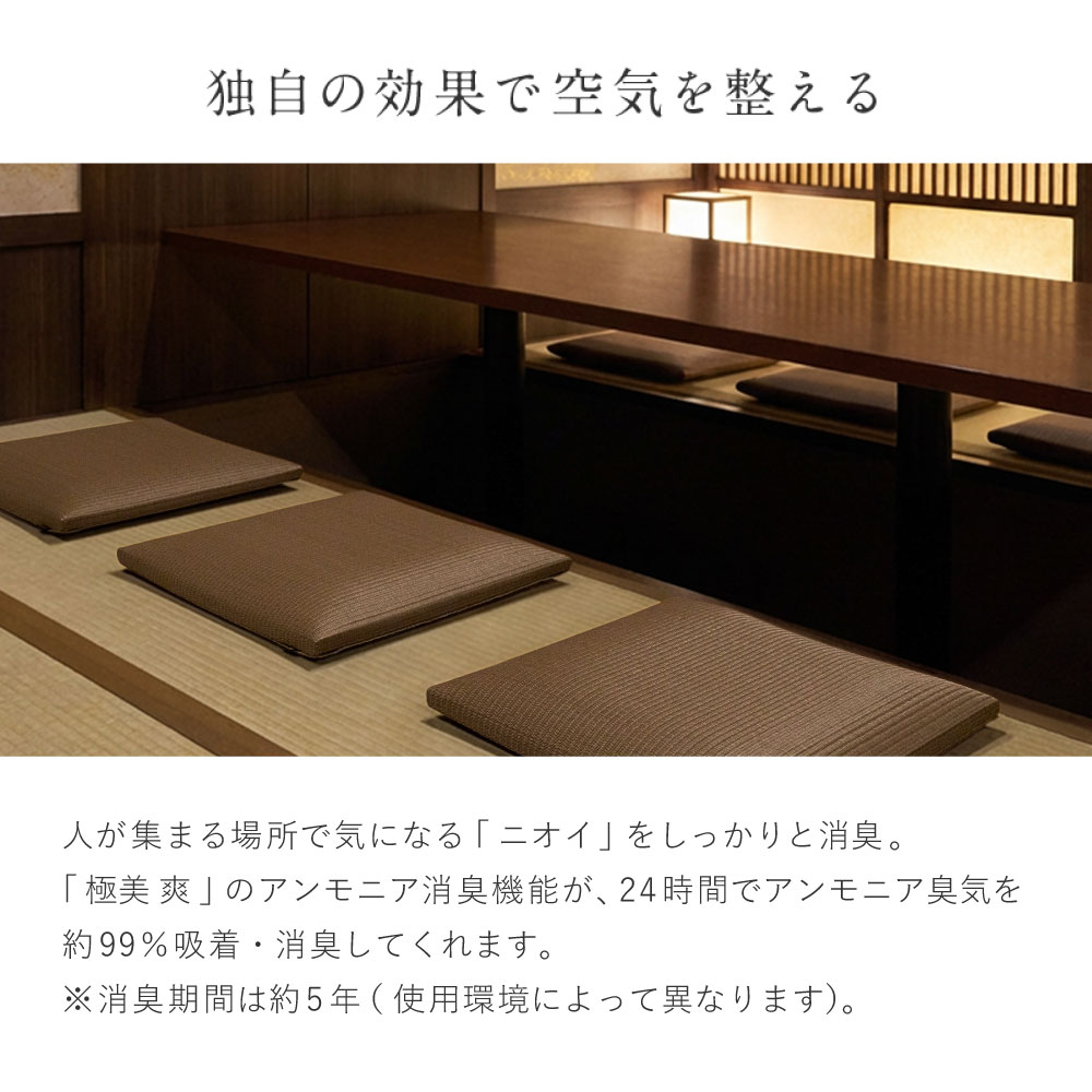い草風 座布団 クッション い草風畳クッション 国産 日本製 消臭 水拭き 約39×39×5cm 丈夫 飲食店 和風 楽座 らくざ 160901600x