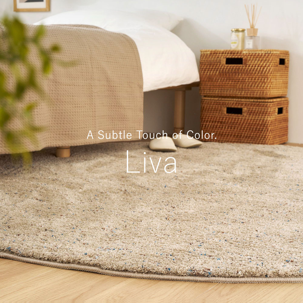 玄関マット 室内マット 玄関 室内 マット 約45×75cm 洗える シャギーマット ミックス糸 滑り止め ふかふか シンプル おしゃれ Liva リーヴァ 240653506x
