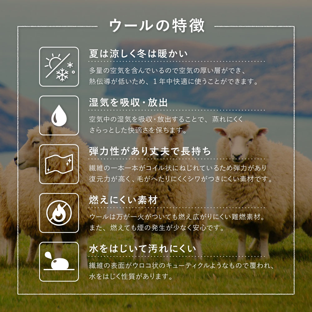 ギャッベ ラグ カーペット 約90×150cm ギャベ 手織り 絨毯 民族柄 厚手 丈夫 インド製ギャッベ 悠花 ユウカ 270097200x