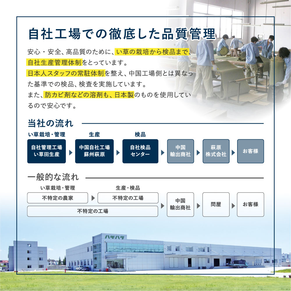 い草ラグ い草カーペット 約3畳 約3帖 約180×240cm ござ いぐさ グラデーション 彩風 いろかぜ 裏貼り 81971401x