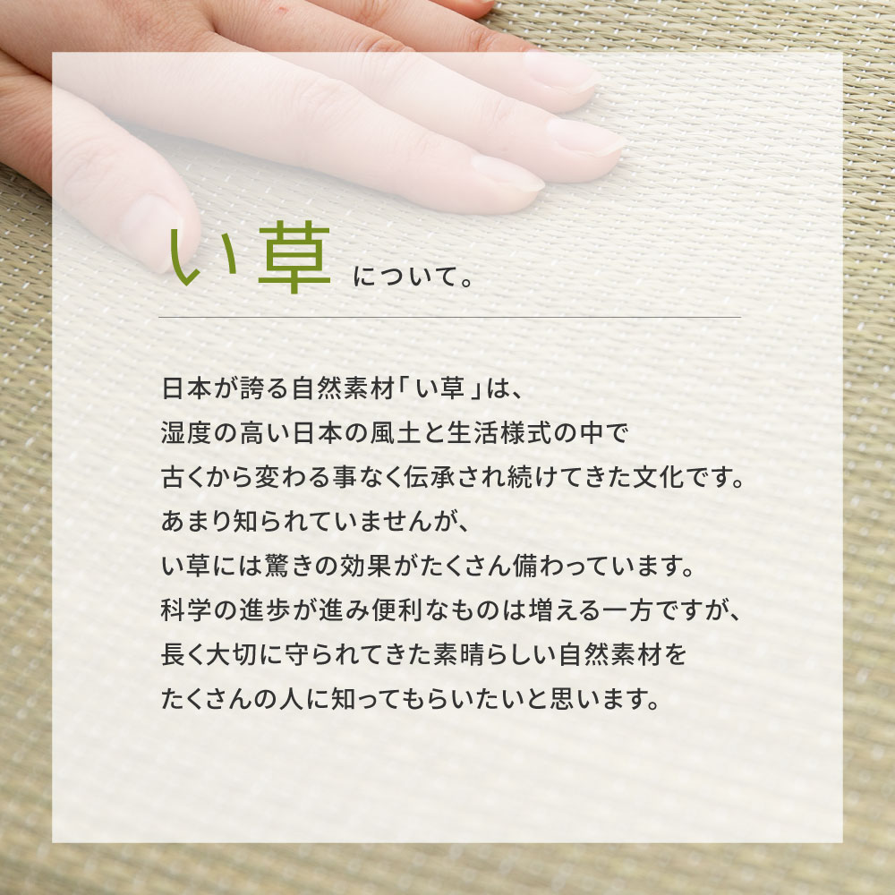 スリッパ い草 いぐさ イグサ 畳 たたみ 室内 28〜30cmまで対応 国産 日本製 猫 ねこ ユニセックス ルームシューズ ギフト ハピネコ LLサイズ 81972302x