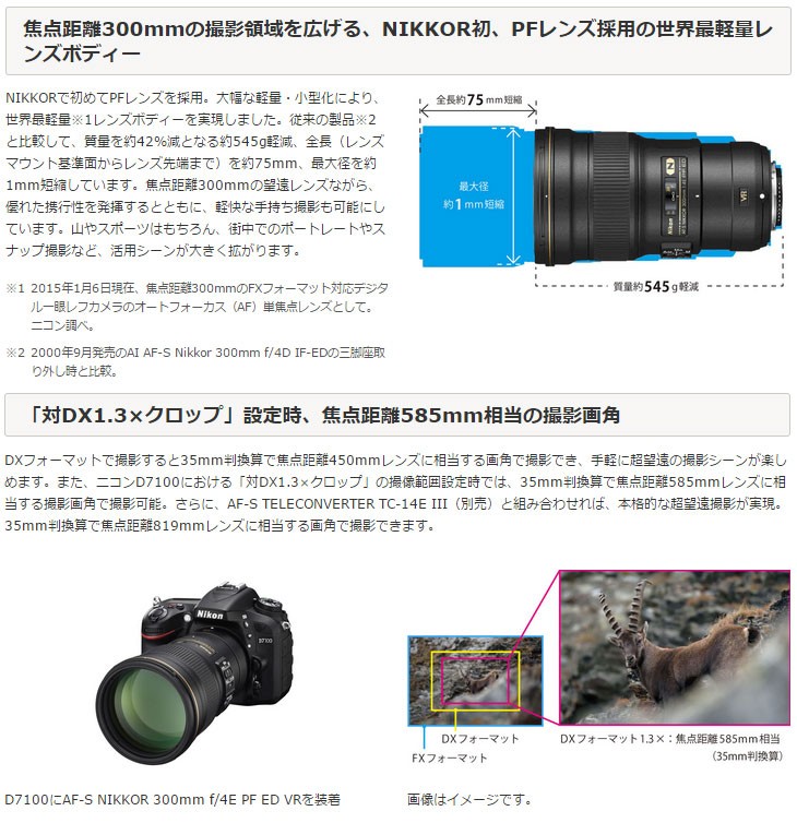 Nikon/ニコン AF-S NIKKOR 300mm f/4E PF ED VR :4960759029126