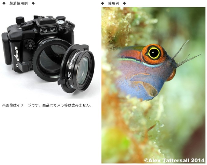 激安大特価！】 Fisheye フィッシュアイ 20733 NA コンパクトマクロ