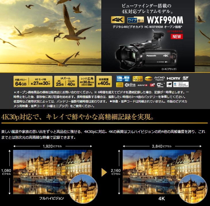 Giga 現貨日本panasonic原廠保固一年雙鏡頭4k 攝影機hc Wxf990m 露天拍賣