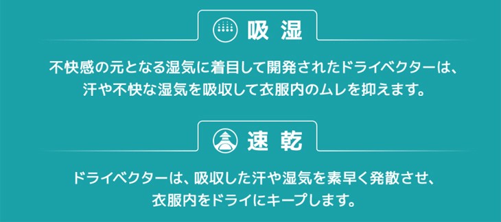 カラー ミズノ murauchi.co.jp - 通販 - PayPayモール mizuno A2MF7001-49 ドライベクターノンストレスパンツ  (ベージュ) カラー - rafkaup.is
