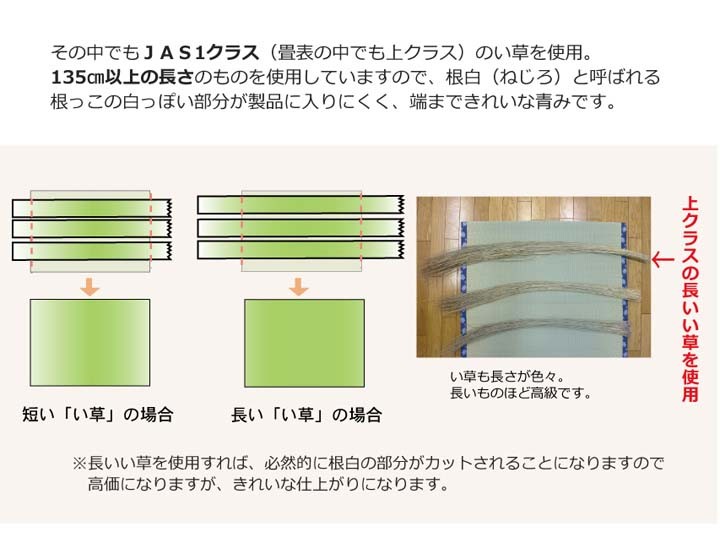 イケヒコ ラグカーペット ファーム グリーン 江戸間10畳 約440×352cm