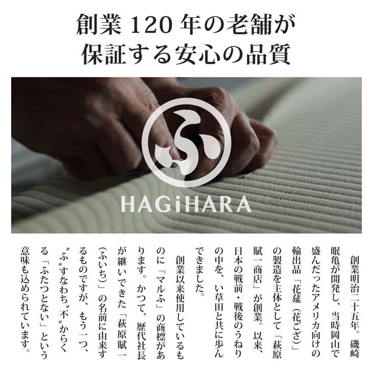 HAGIHARA ハギハラ おもてなし上敷 雅(みやび) 江戸間 3帖(約174×261cm