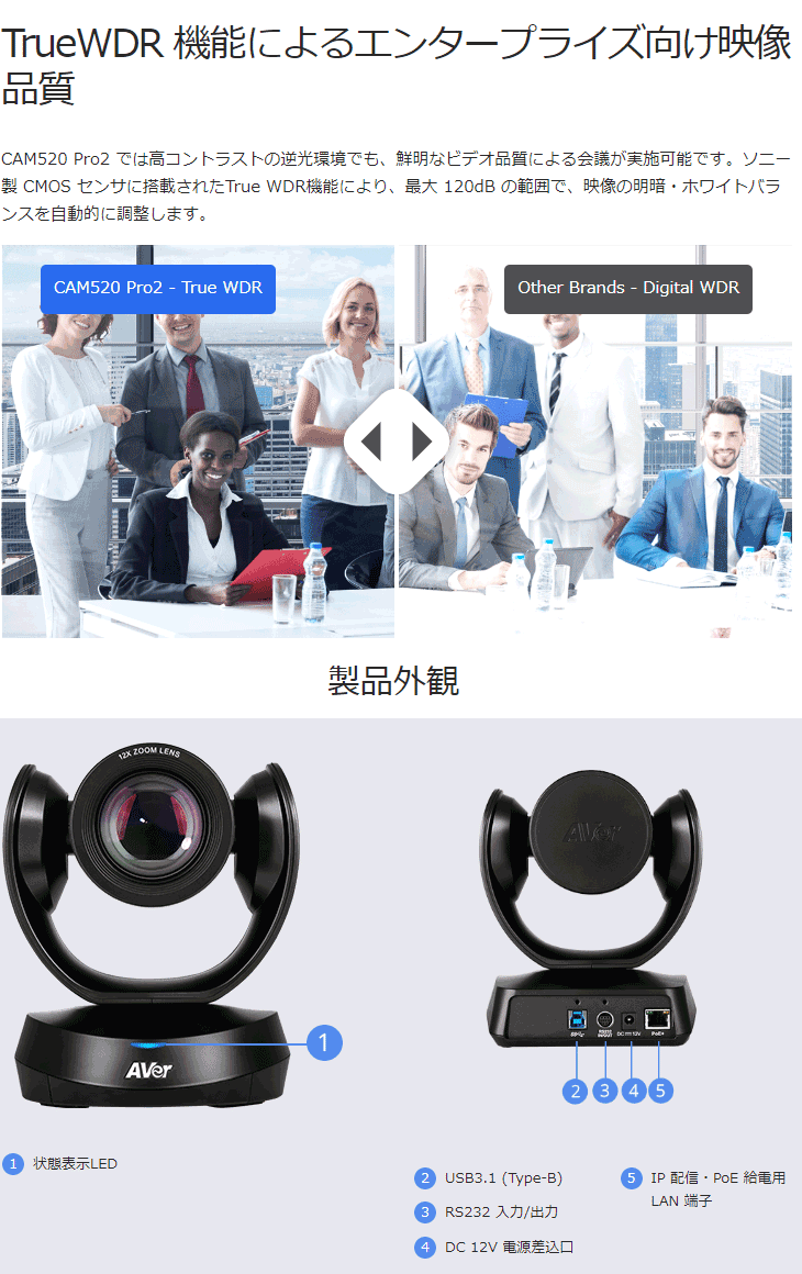 AVer Information 納期ご注文後1週間前後 プレミアムウェブカメラ Web