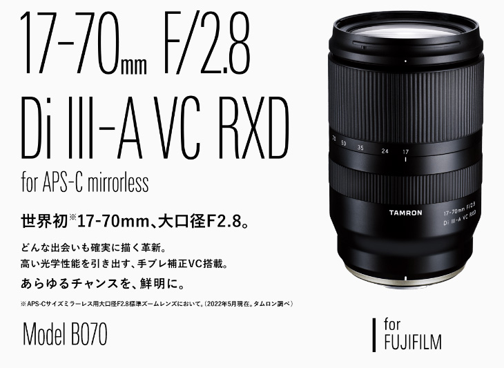 TAMRON タムロン 17-70mm F/2.8 Di III-A VC RXD Model B070 標準