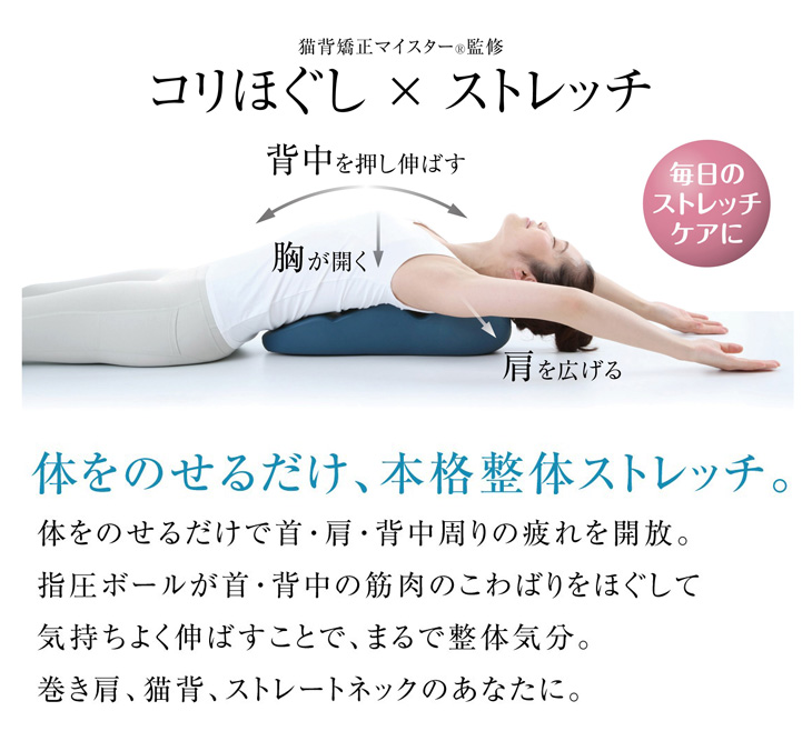 alphax アルファックス AP-621676 spine stretch SEIRITSU