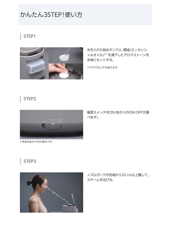 Panasonic パナソニック  EH-SA70-H(グレージュ)　スチーマー ナノケア