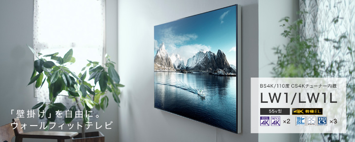 Panasonic（パナソニック） TH-55LW1L 55V型 4Kダブルチューナー内蔵